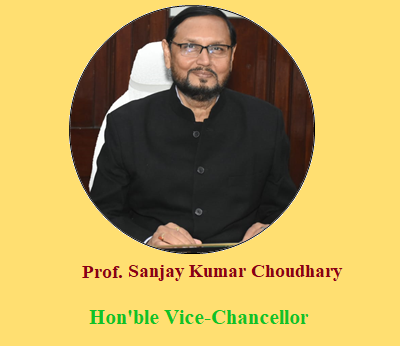 Vice Chancellor